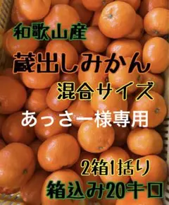 ■あっさー 蔵出しみかん 混合サイズ 箱込み20キロ■ □あっさー様専用 蔵出しみかん 混合サイズ 箱込み20キロ□ - メルカリ