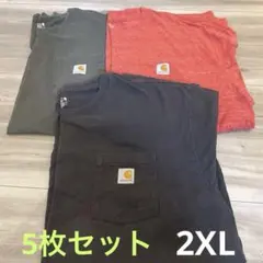 Carhartt ポケット付きTシャツ 5枚セット サイズ2XL ゆるタボ