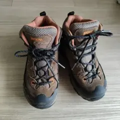 Item thumbnail for item e10a437a-356d-4579-9685-69233419c452