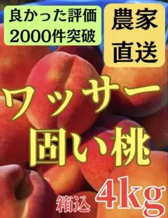 30信州産 ワッサー 甘くて固い桃 家庭用 4kg弱11〜26玉のサムネイル