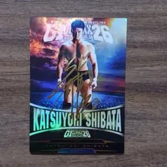 2026年最新】キングオブプロレスリングの人気アイテム - メルカリ