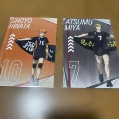 ハイキュー!! 日向翔陽・宮侑・宮治ポストカード
