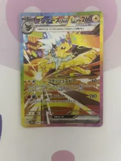 2025年最新】サンダース☆の人気アイテム - メルカリ