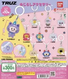 TRUZ めじるしアクセサリー