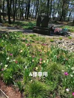 A様専用ページです！
