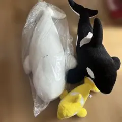 鴨川シーワールド シャチ ベルーガ セット