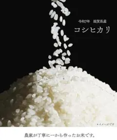 令和7年産 【コシヒカリ】 玄米約30kg 近江米 送料込み - メルカリ