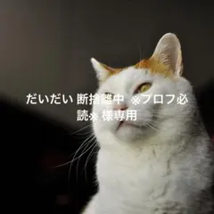 【コメント必須】カッティングステッカー STi 2枚