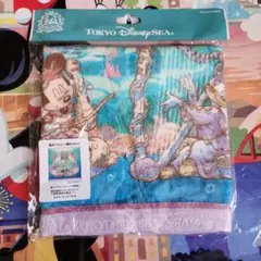 新作 ディズニーシー 24周年 ウォッシュタオル