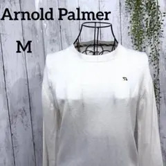 アーノルドパーマー ニットセーター M ロゴ刺繍 ワンポイント シンプル 白