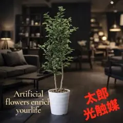 光触媒　人工観葉植物　ウォールグリーン　フェイクグリーン　レモンの木1.6のサムネイル