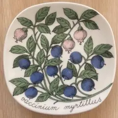 2026年最新】アラビア ボタニカの人気アイテム - メルカリ