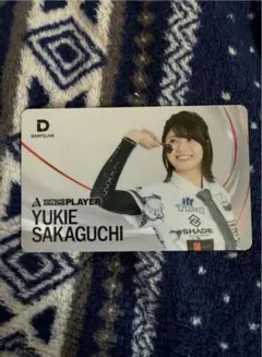 ダーツライブカード ダーツ