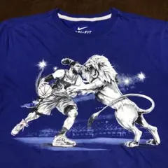 NIKE DRI-FIT レブロン　Ｔシャツ　LeBron ドライフィット