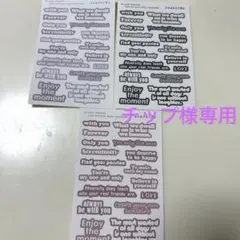 チップ様 リクエスト 3点 まとめ商品