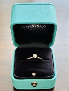 新品 正規品 エルサ・ペレッティ ダイヤ0.10ct＆プラチナ フープ 