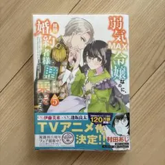 弱気MAX令嬢なのに、辣腕婚約者様の賭けに乗ってしまった 5巻