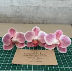 七五三　成人式　コチョウラン　胡蝶蘭　ヘッドドレス　ヘッドパーツ　花飾り