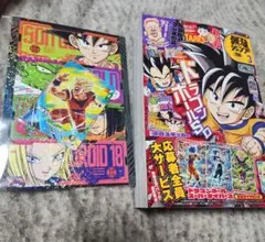 Item thumbnail for item f92988d4-35c4-4d00-8061-341d253a1fa3