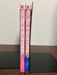 官能小説2冊 ぷちぱら文庫 - メルカリ