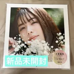 2026年最新】小芝風花 カレンダーの人気アイテム - メルカリ