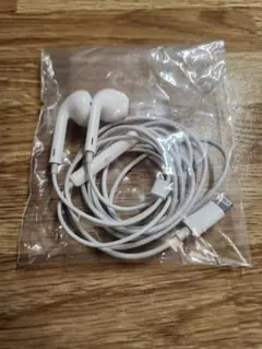 Item thumbnail for item 6d814419-0267-411e-8833-73bb52773323