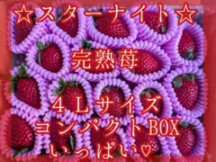 satisatisatix★休養中✩.*様専用♡スターナイト③コンパクトBOX♡