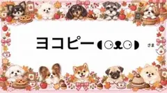 専用