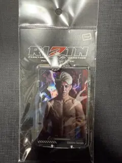 Item thumbnail for item 30196bc1-0d64-45b1-a240-36bba487a4c2