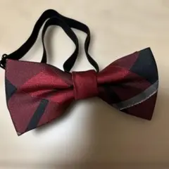 Item thumbnail for item 19c18de4-af78-4f9c-9519-b2e5dccc50fa