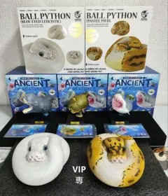 【動物の惑星】激レア★園古生物第4弾+パイソンplus2種! フィギュアのサムネイル