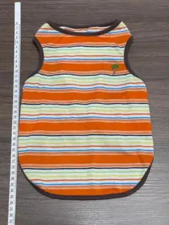 Item thumbnail for item 5e19ee55-bf09-4074-8a97-060505140e52