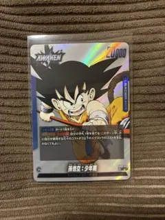 ドラゴンボール マンガブースター01 孫悟空:少年期 FB06-025 リーダー