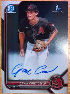 Item thumbnail for item 2f429918-6d38-4c5f-9bbe-9db9c1c8be3d