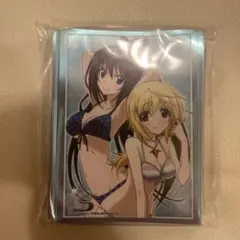 IS インフィニット・ストラトス シャルロット・デュノア カード - メルカリ