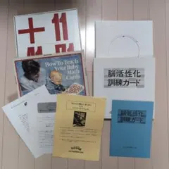 【家庭保育園】ドッツカード、脳活性化訓練カード