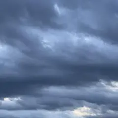 ゆずぽんず様専用