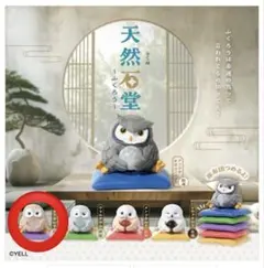 ♥️♥️珍しい！天然小石のフクロウ① 天然石堂 ふくろう アフリカオオコノハズク 開運 - メルカリ