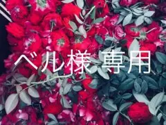 ベル様 専用ページ