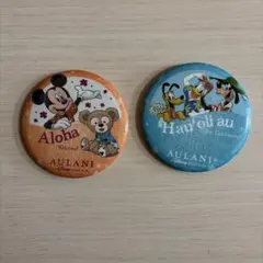 非売品【缶バッジ2点】ハワイ アウラニ ディズニーリゾート 宿泊者ノベルティ