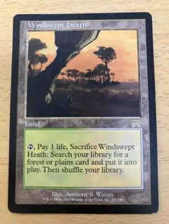 2026年最新】MTG 吹きさらしの荒野の人気アイテム - メルカリ