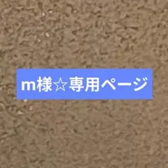 m様☆専用ページ