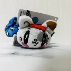 ジェ猫　GENERATIONS シュシュ　中務裕太