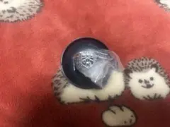 家庭教師ヒットマンREBORN! Ringcolle! DX ボンゴレリング 晴