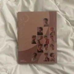 SEVENTEEN JAPAN 2ND シングル 舞い落ちる花びら Carat盤