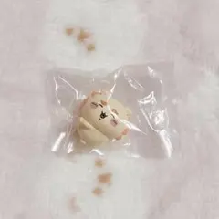 ちいかわ ハグコット シーサー
