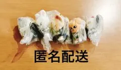 SKZOO つまんでつなげてますこっと でらっくす！5種セット