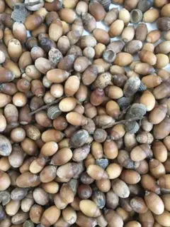 はな様 リクエスト 4点 まとめ商品