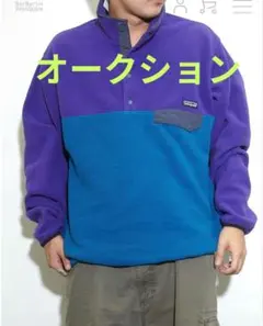 パタゴニア シンチラスナップT　2015年限定カラー