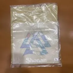 ノースフェイス 湘南国際マラソン 2025 【L】 The North Face